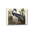 Picture of Vintage Heron Bird _GroupedProduct_Rectangle_Landscape_Canvas_