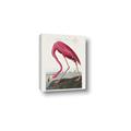 Picture of Vintage Pink Flamingo _GroupedProduct_Rectangle_Portrait_Canvas_