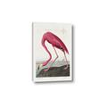 Picture of Vintage Pink Flamingo _GroupedProduct_Rectangle_Portrait_Canvas_