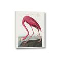 Picture of Vintage Pink Flamingo _GroupedProduct_Rectangle_Portrait_Canvas_