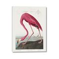 Picture of Vintage Pink Flamingo _GroupedProduct_Rectangle_Portrait_Canvas_