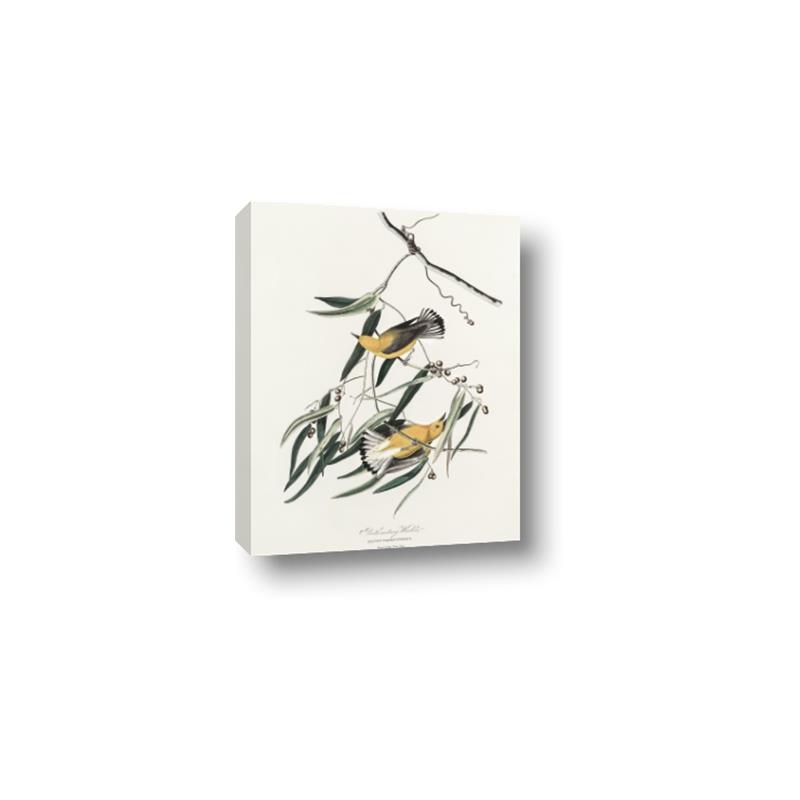 Picture of Two Yellow Warbler Birds _GroupedProduct_Rectangle_Portrait_Canvas_