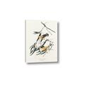 Picture of Two Yellow Warbler Birds _GroupedProduct_Rectangle_Portrait_Canvas_