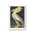 Picture of Vintage White Pelican _GroupedProduct_Rectangle_Portrait_Canvas_
