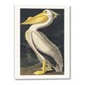 Picture of Vintage White Pelican _GroupedProduct_Rectangle_Portrait_Canvas_