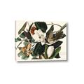 Picture of Black Billed Cuckoo Bird _GroupedProduct_Rectangle_Landscape_Canvas_