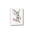 Picture of Vintage Tree Sparrow _GroupedProduct_Rectangle_Portrait_Canvas_