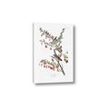 Picture of Vintage Tree Sparrow _GroupedProduct_Rectangle_Portrait_Canvas_