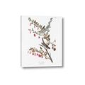 Picture of Vintage Tree Sparrow _GroupedProduct_Rectangle_Portrait_Canvas_