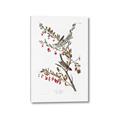 Picture of Vintage Tree Sparrow _GroupedProduct_Rectangle_Portrait_Canvas_