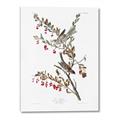Picture of Vintage Tree Sparrow _GroupedProduct_Rectangle_Portrait_Canvas_