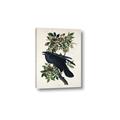 Picture of Raven From Birds of America (1827) _GroupedProduct_Rectangle_Portrait_Canvas_