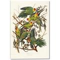 Picture of Vintage Carolina Parrot _GroupedProduct_Rectangle_Portrait_Canvas_