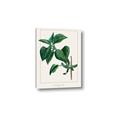 Picture of Nostalgic Green Lilac Leaves _GroupedProduct_Rectangle_Portrait_Canvas_