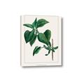 Picture of Nostalgic Green Lilac Leaves _GroupedProduct_Rectangle_Portrait_Canvas_