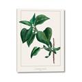 Picture of Nostalgic Green Lilac Leaves _GroupedProduct_Rectangle_Portrait_Canvas_