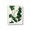 Picture of Nostalgic Green Murgrona Leaves _GroupedProduct_Rectangle_Portrait_Canvas_