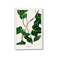 Picture of Nostalgic Green Murgrona Leaves _GroupedProduct_Rectangle_Portrait_Canvas_