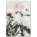 Picture of Romantic Blur Peony V _GroupedProduct_Rectangle_Portrait_Photography _GroupedProduct_Rectangle_Portrait_Canvas_