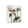 Picture of Romantic Blur Peony IV _GroupedProduct_Rectangle_Portrait_Photography _GroupedProduct_Rectangle_Portrait_Canvas_
