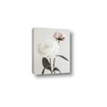 Picture of Romantic Blur Peony III _GroupedProduct_Rectangle_Portrait_Photography _GroupedProduct_Rectangle_Portrait_Canvas_