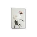 Picture of Romantic Blur Peony III _GroupedProduct_Rectangle_Portrait_Photography _GroupedProduct_Rectangle_Portrait_Canvas_