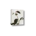 Picture of Romantic Blur Peony II _GroupedProduct_Rectangle_Portrait_Photography _GroupedProduct_Rectangle_Portrait_Canvas_