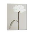 Picture of Romantic Blur Peony I _GroupedProduct_Rectangle_Portrait_Photography _GroupedProduct_Rectangle_Portrait_Canvas_