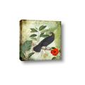 Picture of Tropical Paradise Birds Garden _GroupedProduct_Square_Canvas_