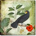 Picture of Tropical Paradise Birds Garden _GroupedProduct_Square_Canvas_