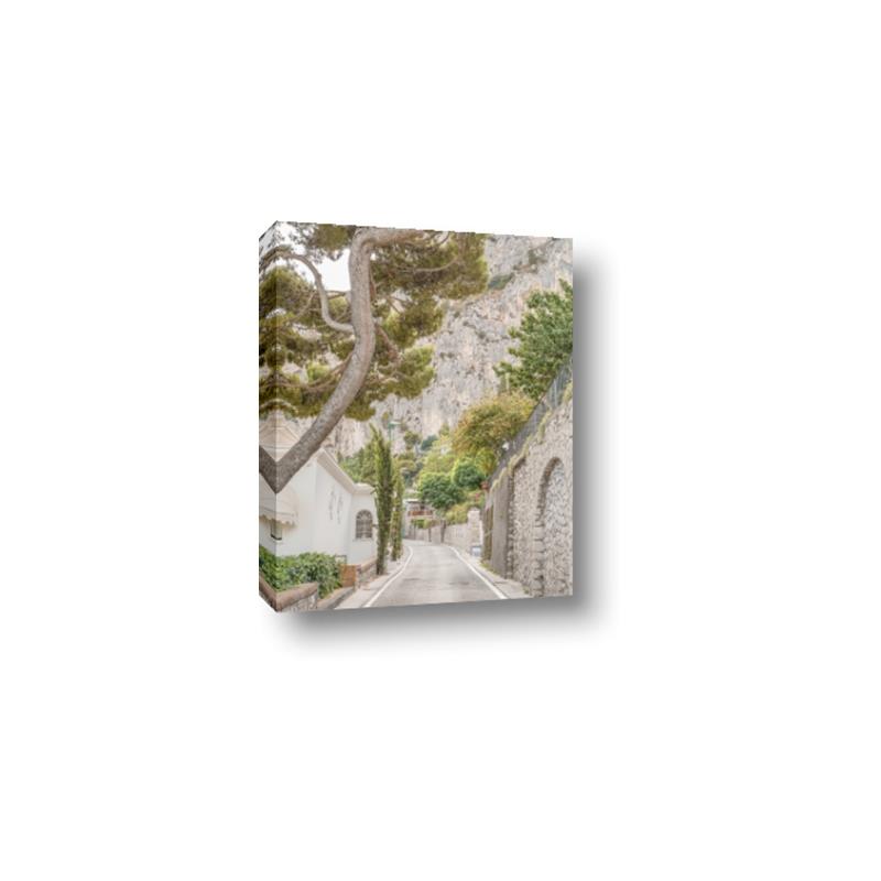Picture of Cobbled Streets in Spring _GroupedProduct_Rectangle_Portrait_Photography _GroupedProduct_Rectangle_Portrait_Canvas_