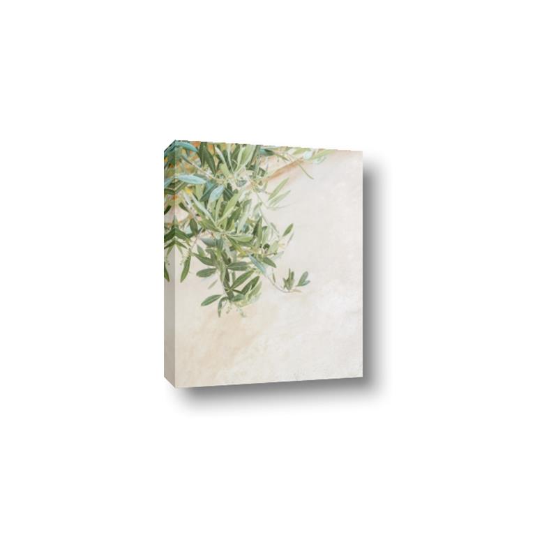 Picture of Few Olive Tree Leaves _GroupedProduct_Rectangle_Portrait_Photography _GroupedProduct_Rectangle_Portrait_Canvas_