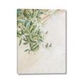Picture of Few Olive Tree Leaves _GroupedProduct_Rectangle_Portrait_Photography _GroupedProduct_Rectangle_Portrait_Canvas_