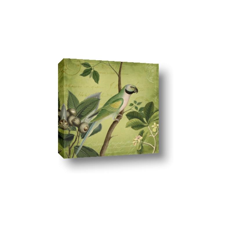 Picture of Vintage Tropical Birds I _GroupedProduct_Square_Canvas_