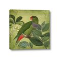 Picture of Vintage Tropical Birds II _GroupedProduct_Square_Canvas_