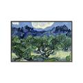 Picture of Vincent Van Gogh's Olive Trees With the Alpilles (1889) _GroupedProduct_Rectangle_Landscape_Canvas_Framed_