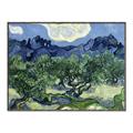 Picture of Vincent Van Gogh's Olive Trees With the Alpilles (1889) _GroupedProduct_Rectangle_Landscape_Canvas_Framed_