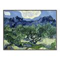 Picture of Vincent Van Gogh's Olive Trees With the Alpilles (1889) _GroupedProduct_Rectangle_Landscape_Canvas_Framed_