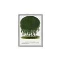 Picture of Kilmarnock Weeping Willow Tree Lithograph _GroupedProduct_Rectangle_Portrait_Canvas_Framed_