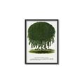 Picture of Kilmarnock Weeping Willow Tree Lithograph _GroupedProduct_Rectangle_Portrait_Canvas_Framed_