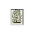 Picture of Hardy Magnolia Tree Lithograph _GroupedProduct_Rectangle_Portrait_Canvas_Framed_