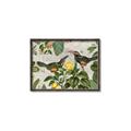 Picture of Parrots Nostalgic Journey 2 _GroupedProduct_Rectangle_Landscape_Canvas_Framed_