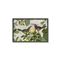 Picture of Parrots Nostalgic Journey 2 _GroupedProduct_Rectangle_Landscape_Canvas_Framed_