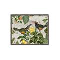 Picture of Parrots Nostalgic Journey 2 _GroupedProduct_Rectangle_Landscape_Canvas_Framed_
