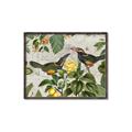 Picture of Parrots Nostalgic Journey 2 _GroupedProduct_Rectangle_Landscape_Canvas_Framed_
