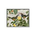 Picture of Parrots Nostalgic Journey 2 _GroupedProduct_Rectangle_Landscape_Canvas_Framed_