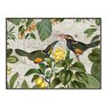 Picture of Parrots Nostalgic Journey 2 _GroupedProduct_Rectangle_Landscape_Canvas_Framed_