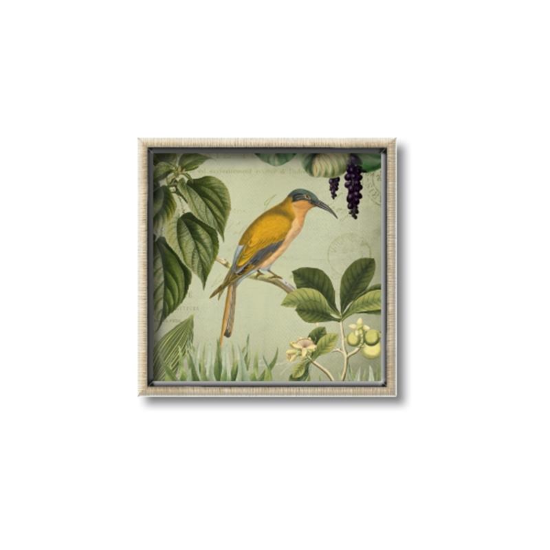Picture of Yellow Nostalgic Tropical Birds _GroupedProduct_Square_Canvas_Framed_