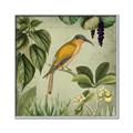 Picture of Yellow Nostalgic Tropical Birds _GroupedProduct_Square_Canvas_Framed_