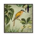 Picture of Yellow Nostalgic Tropical Birds _GroupedProduct_Square_Canvas_Framed_